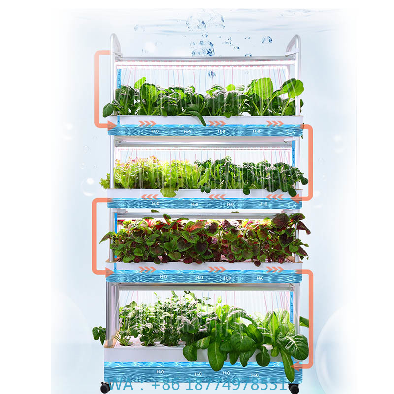 Smart Home Automation - ydroponic Planting System Smart Home Automation