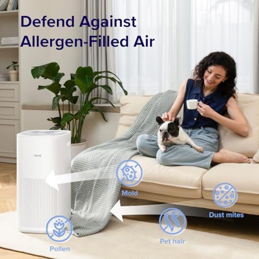 Air Purifiers for Home and Bed - Smart Home In Us のレビューと価格