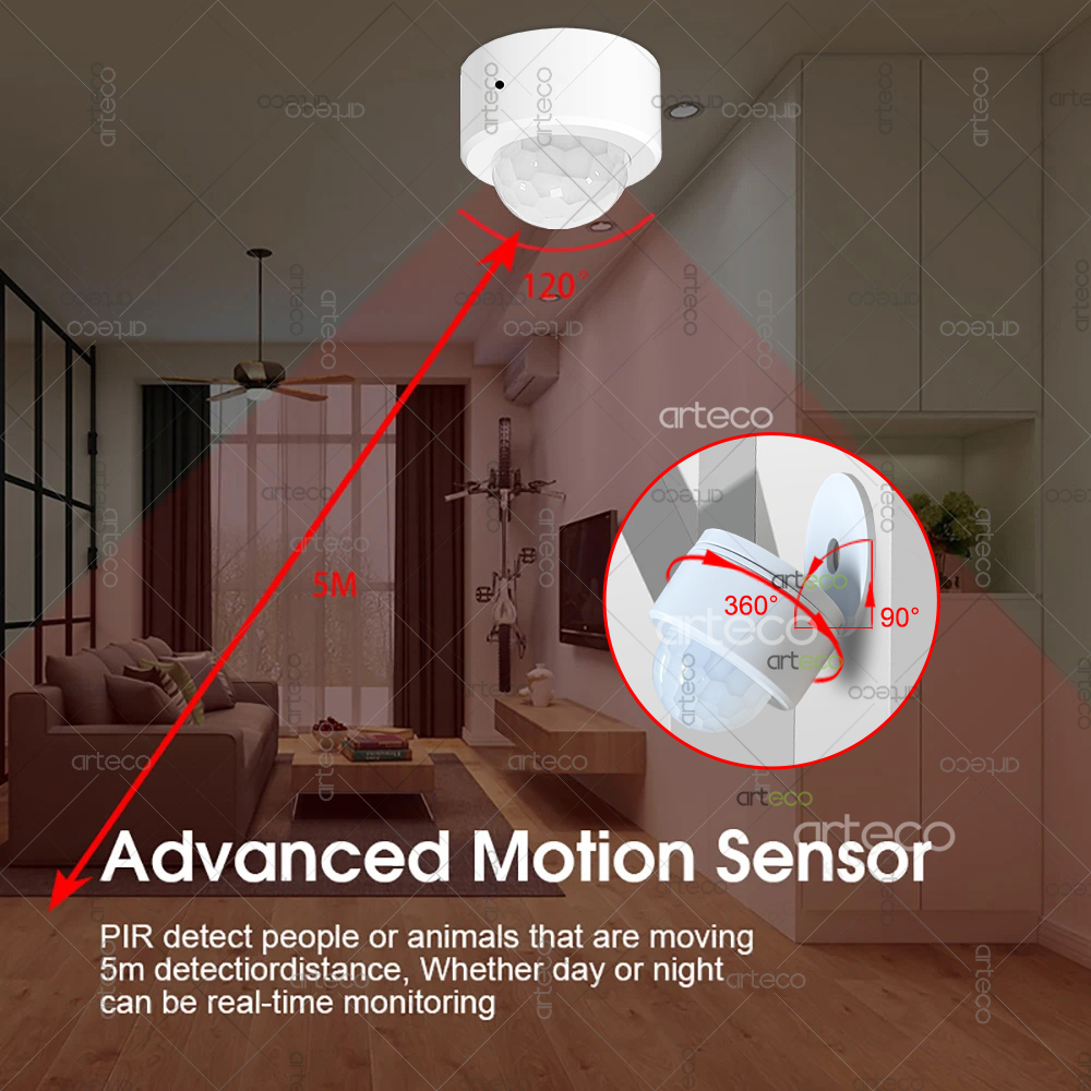 Ewelink Zigbee PIR Motion Sens - Smart Home Google Assistant のレビューと価格