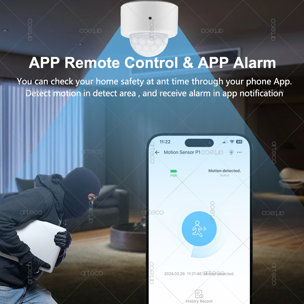 Ewelink Zigbee PIR Motion Sens - Smart Home Google Assistant のレビューと価格