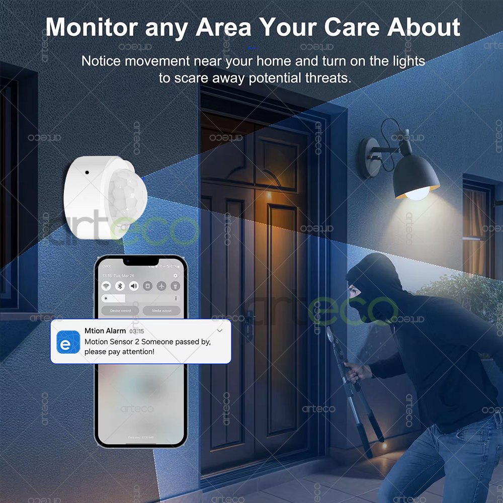 Ewelink Zigbee PIR Motion Sens - Smart Home Google Assistant のレビューと価格
