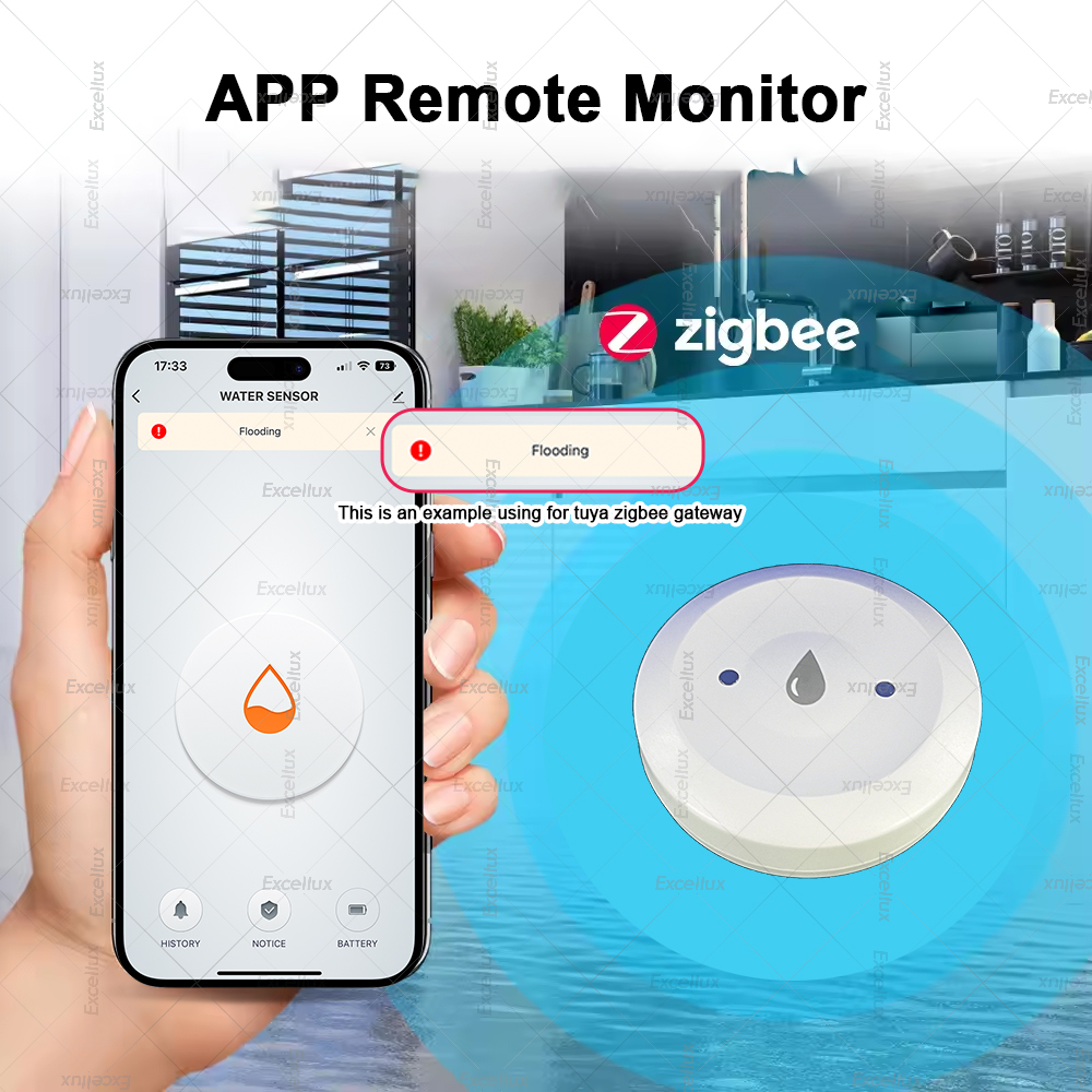 Zigbee Water Detector Leakage  - Wifi Water Sensor のレビューと価格