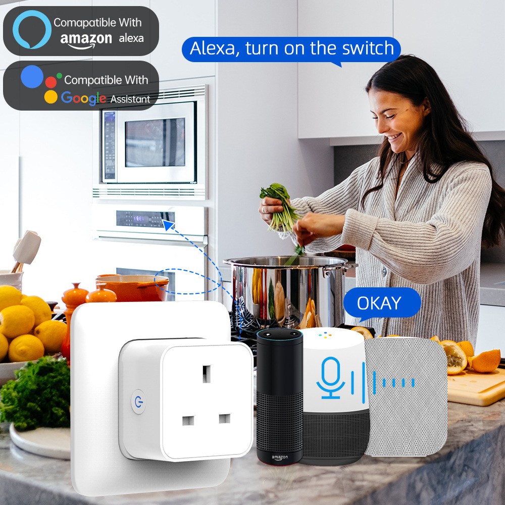 Tuya Smart Socket 16A/20A WiFi - Smart Home Wiser のレビューと価格