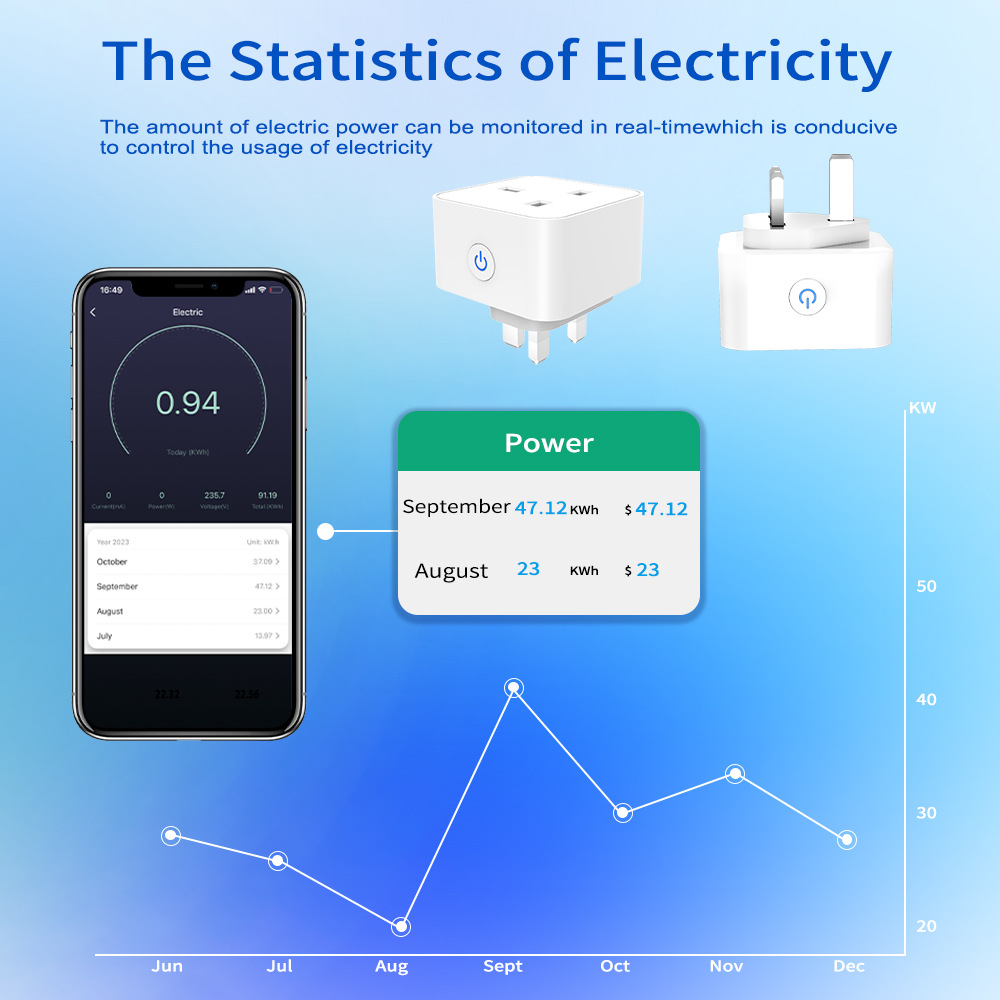 Tuya Smart Socket 16A/20A WiFi - Smart Home Wiser のレビューと価格