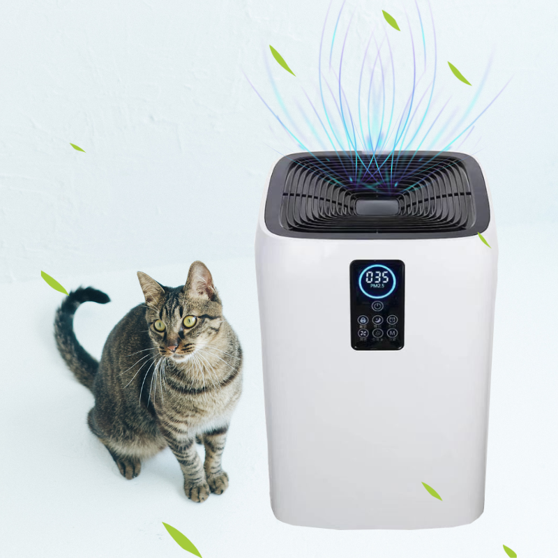 Flexible for Use in Hospital G - Smart Home Room のレビューと価格