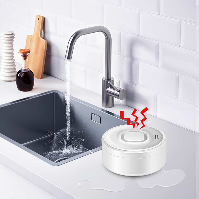 Smart WIFI Water Leak Detector - Wifi Water Sensor のレビューと価格