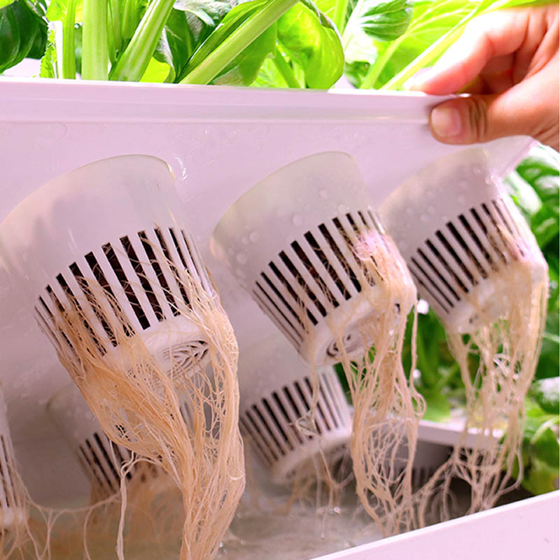 ydroponic Planting System Smar - Smart Home Automation のレビューと価格