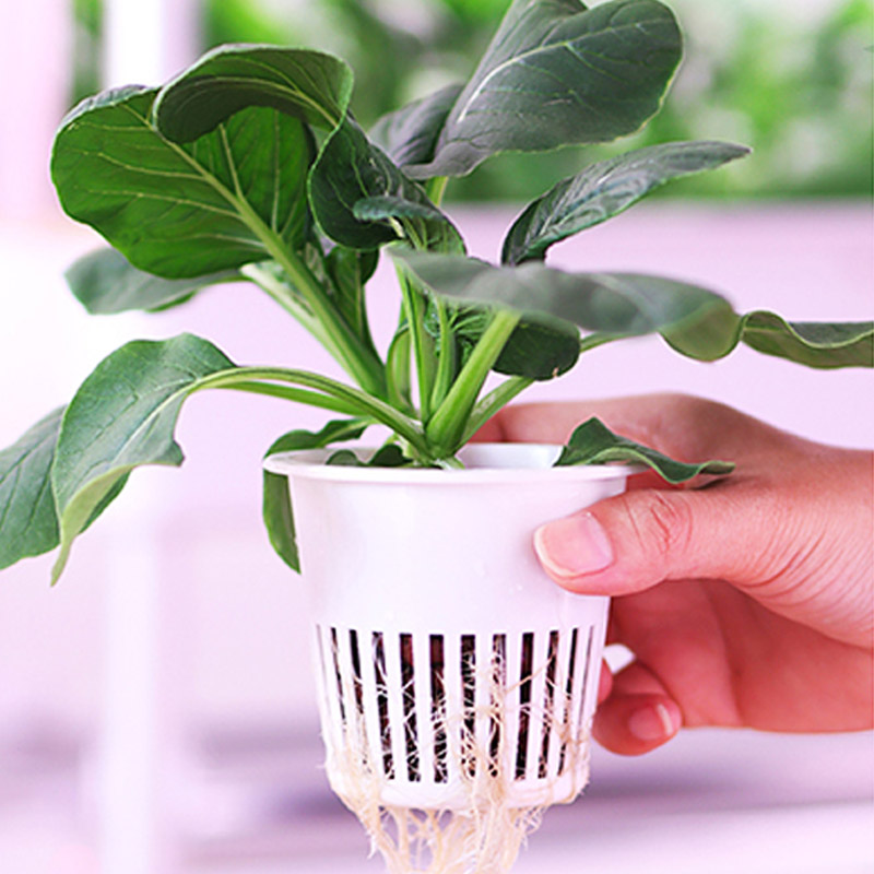ydroponic Planting System Smar - Smart Home Automation のレビューと価格