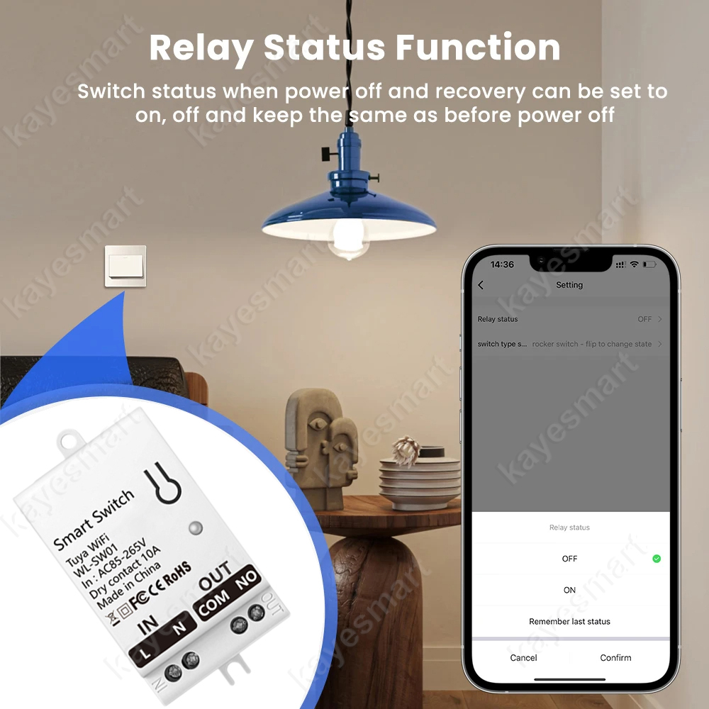 Tuya WiFi Smart Switch Module  - Smart Home Switch のレビューと価格