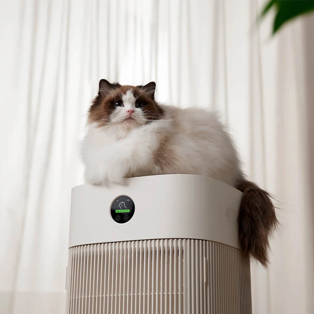 Cats Hair Fast Absorb Dogs Hai - Smart Home In Us のレビューと価格