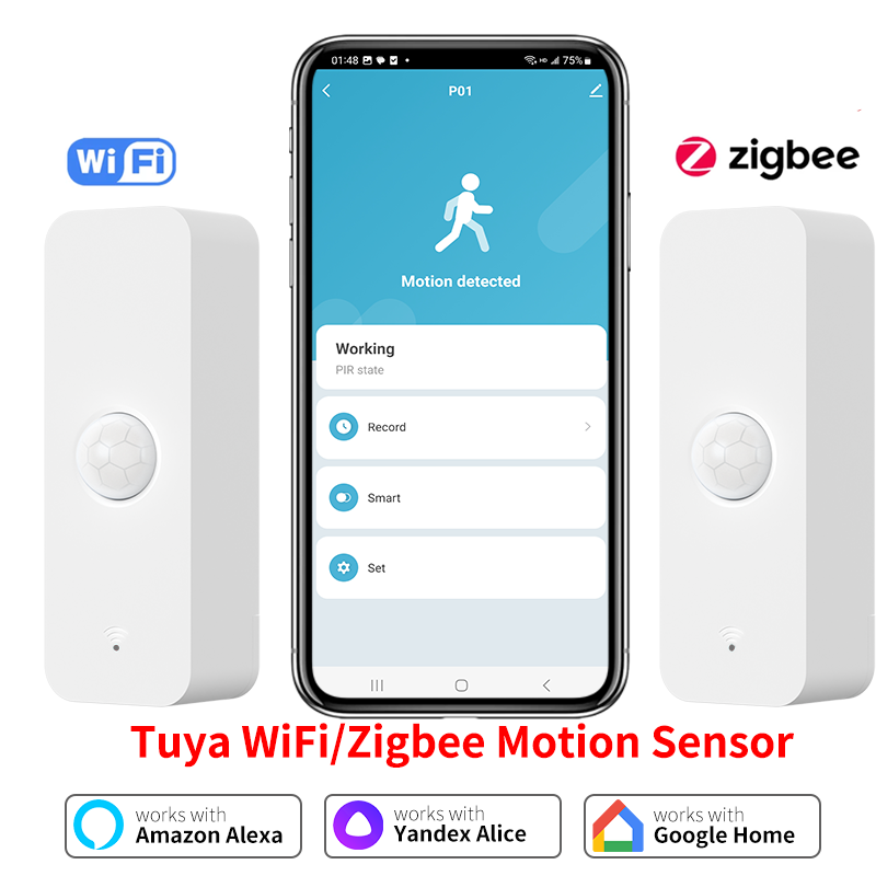 Tuya WiFi Zigbee PIR Motion Se - Smart Home Wiser のレビューと価格