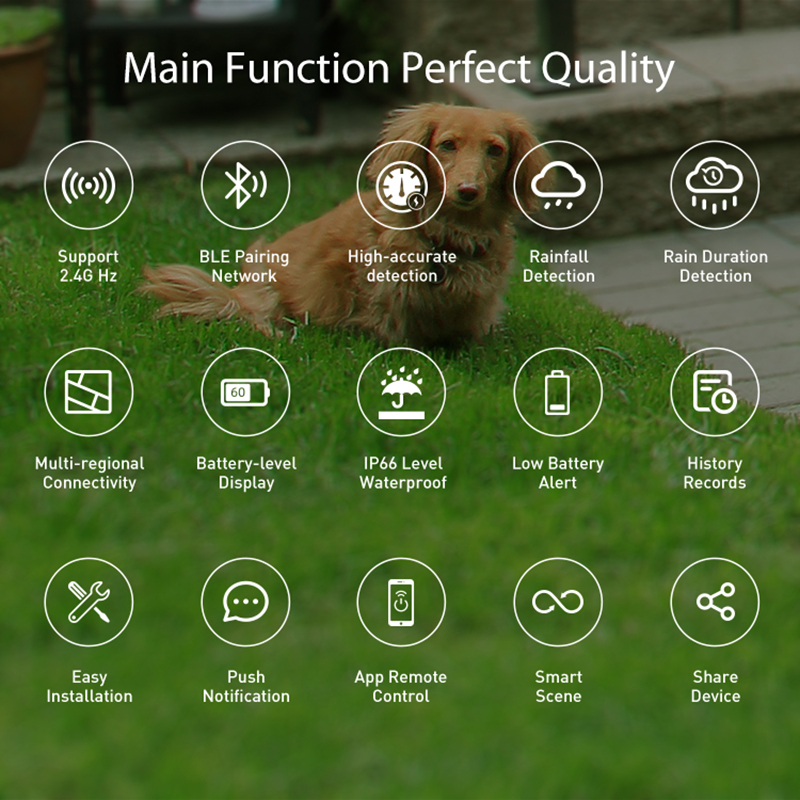 WiFi Rain Sensor Rainfall Dura - Wifi Water Sensor のレビューと価格