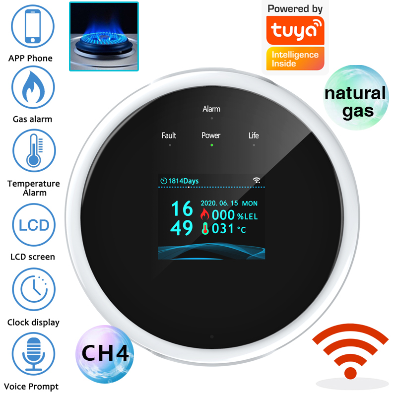 2.4G WiFi Gas Alarm Sensor Com - Smart Home Full System のレビューと価格