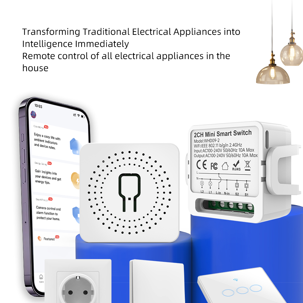 2 Way Tuya smart swtich 2Gang  - Smart Home Lighting Control のレビューと価格