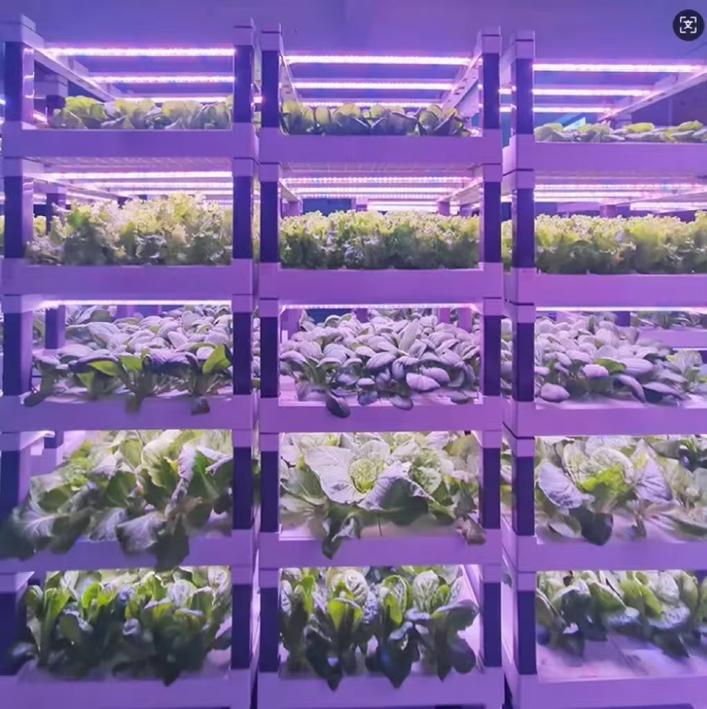 Hydroponic Grow System Greenho - Smart Home Device のレビューと価格