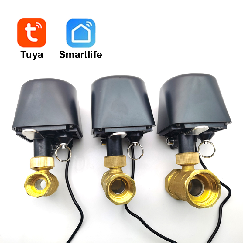 Tuya WiFi or Zigbee Water Valv - Smart Home Google Assistant のレビューと価格